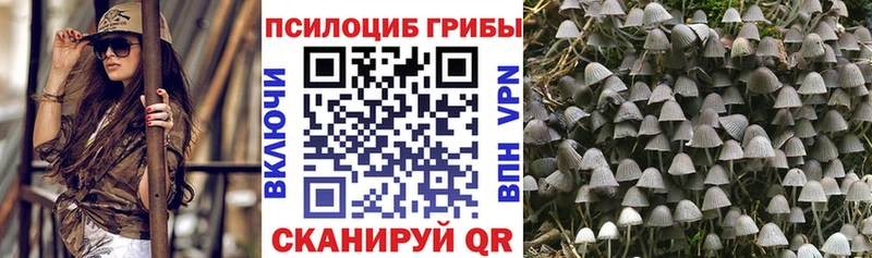Псилоцибиновые грибы Cubensis  цены наркотик  mega зеркало  Усолье-Сибирское 