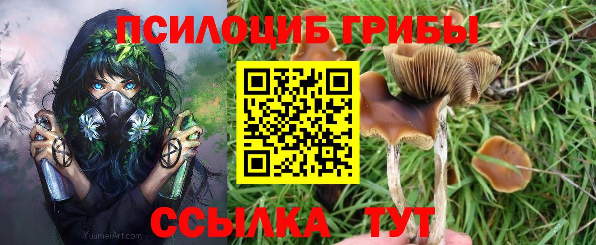 Галлюциногенные грибы MAGIC MUSHROOMS Усолье-Сибирское